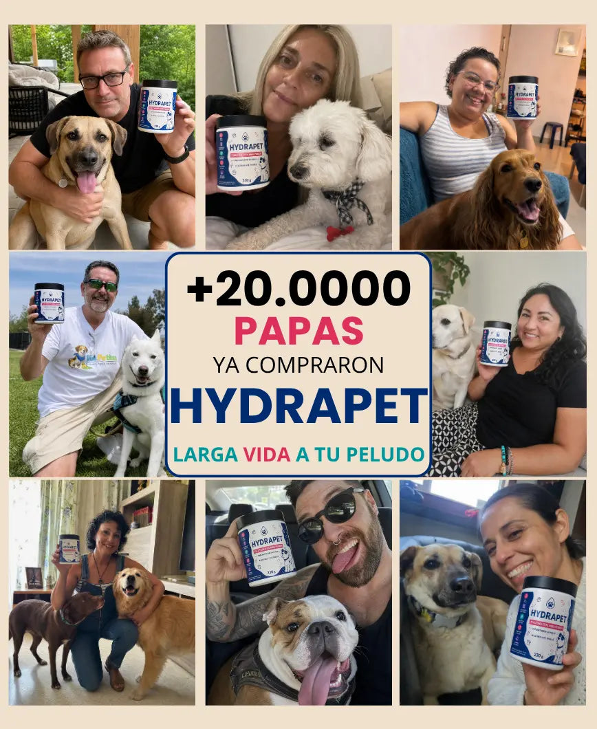 HYDRAPET