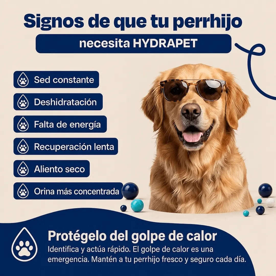 HYDRAPET