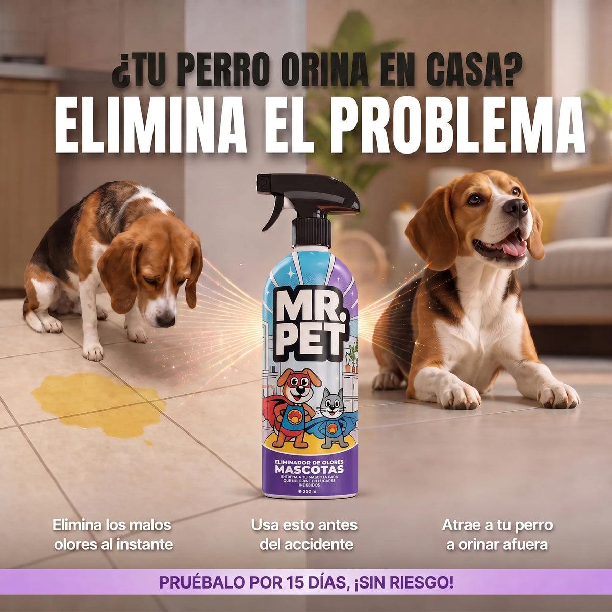 MR.PET
